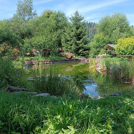 Apartment у кузьмича однокімнатні студіо *