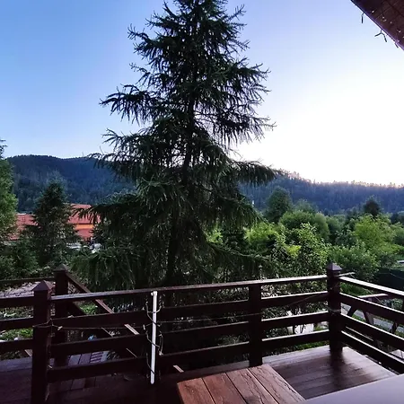 у кузьмича однокімнатні студіо *