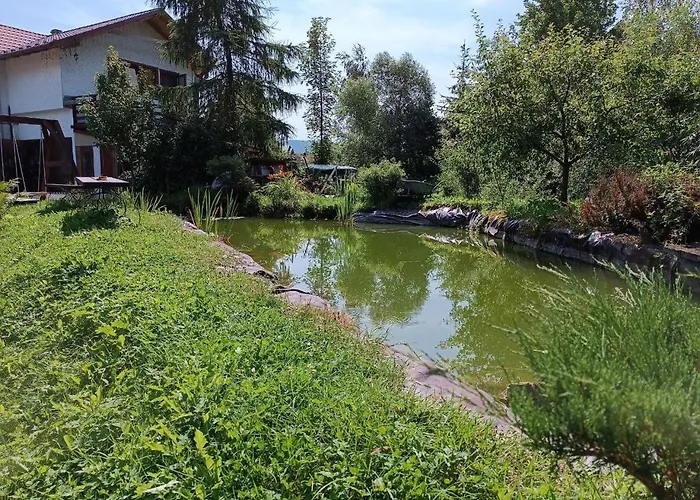у кузьмича однокімнатні студіо Apartment *